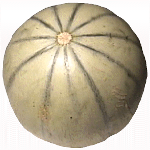 melon_charentais