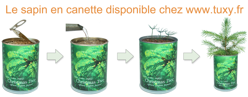 sapin_canette_tuxy