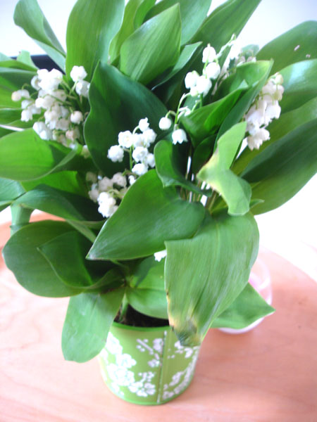 bouquet-muguet-bebloom