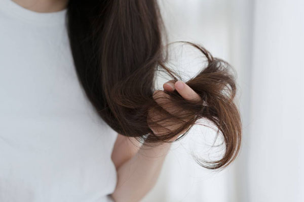 Cheveux secs ou déshydratés : quelles différences ?
