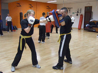 art martial Krav Maga