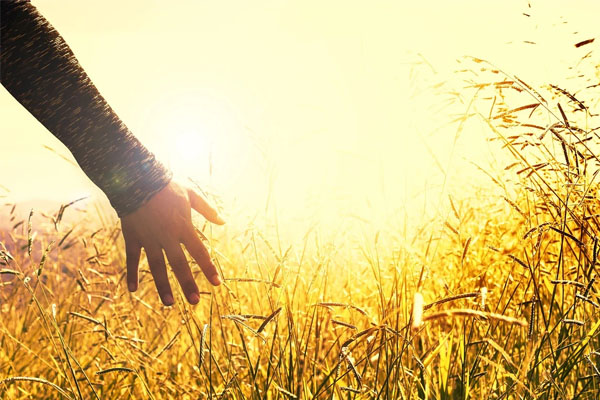 Protéger ses mains en hiver